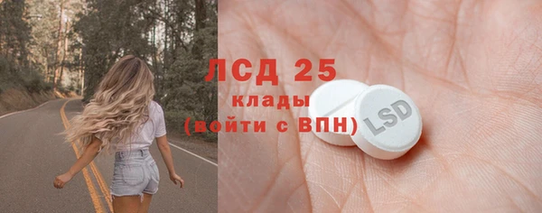 стафф Арсеньев