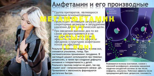 стафф Арсеньев