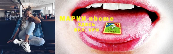 индика Балахна