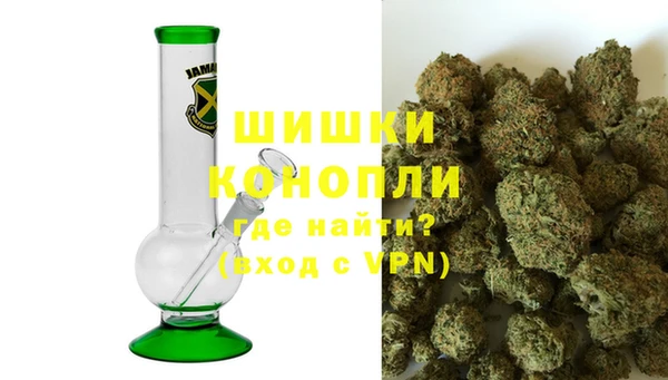 индика Балахна